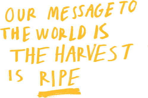 HarvestisRipe 2
